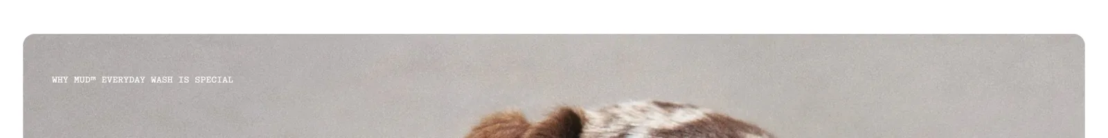 Mud landing page section