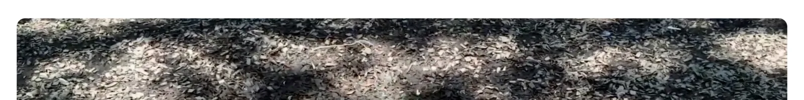 Mud landing page section