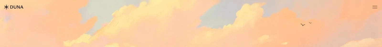 Duna landing page section