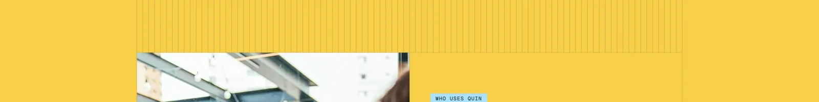 Heyquin landing page section