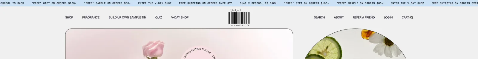 Dedcool landing page section