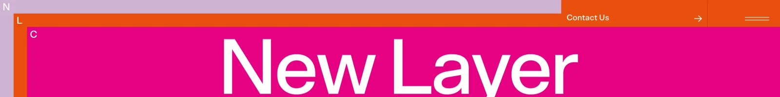 New Layer Capital landing page section