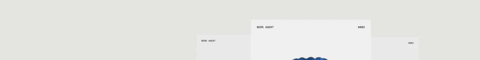 Berd landing page section