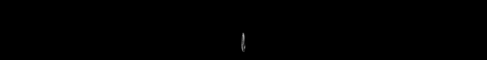 Hero · Festina landing page section