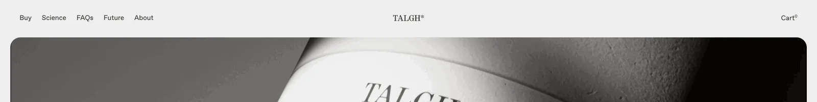 Hero · Talgh landing page section
