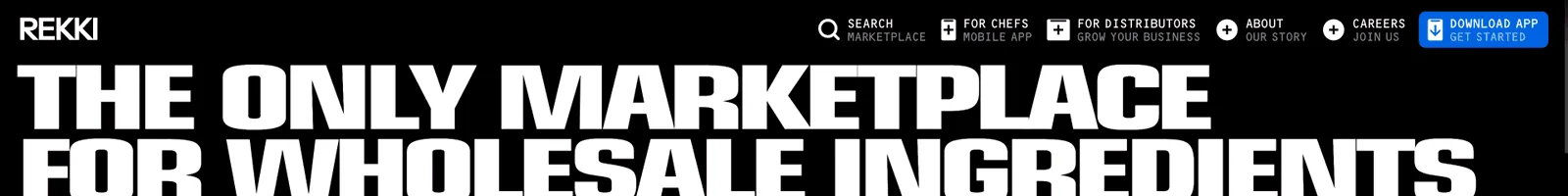 Hero · REKKI landing page section