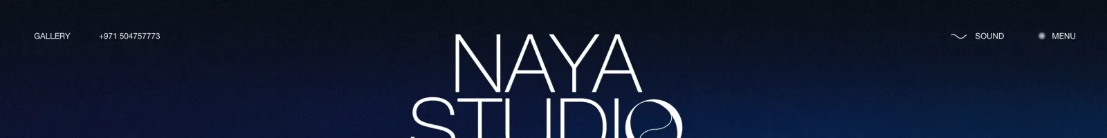 Naya Studio Hero section