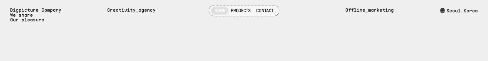 Bigpicture company Hero section