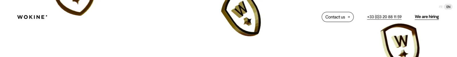 Wokine Hero section