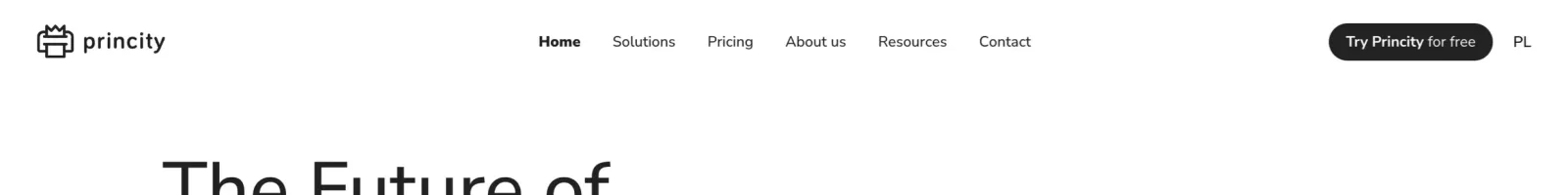 Princity Hero section