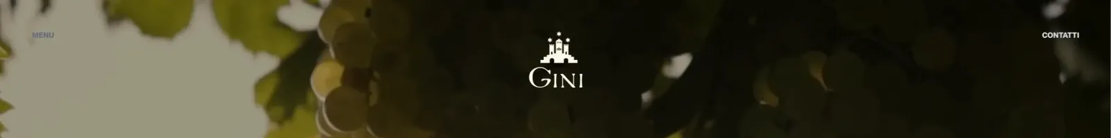 Gini Hero section