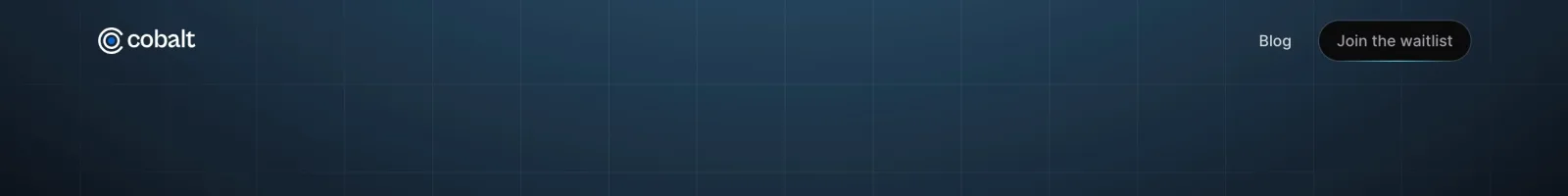 Cobalt Hero section