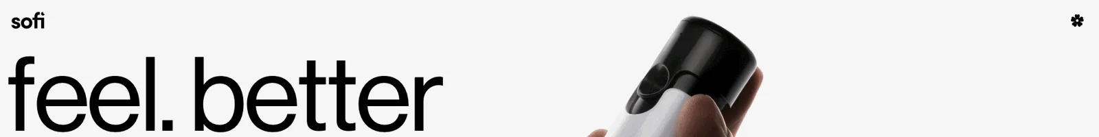 Hero · sofi landing page section